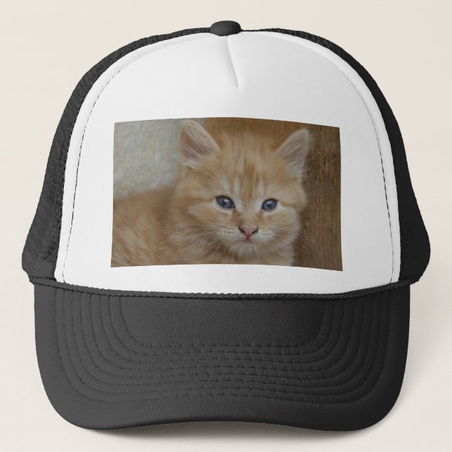 Tabby Tomcat Kitten Trucker Hat (Front)