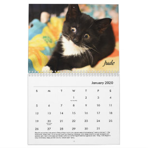 Tabby's Place calendar