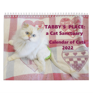 Tabby's Place Calendar 2022