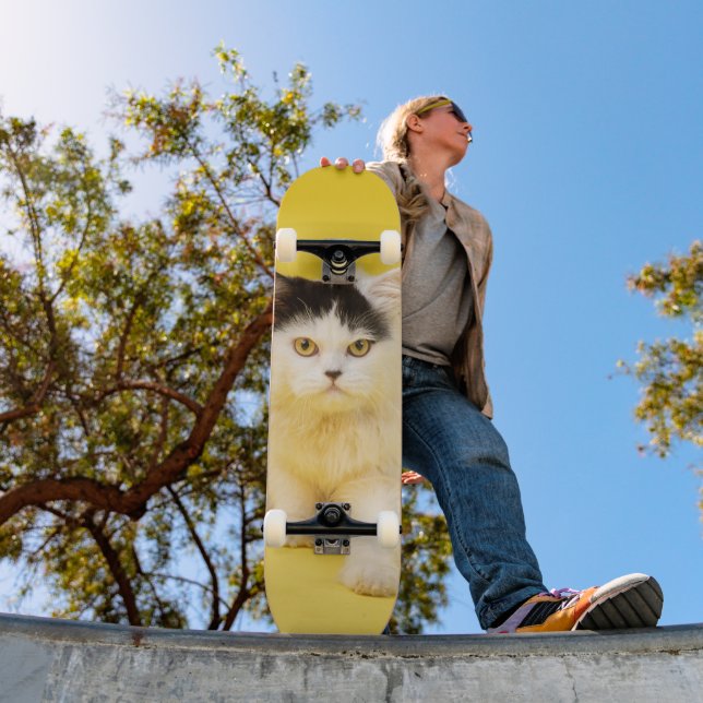 Tabla de skate Cachorro Gato Persa Skateboard (Outdoor 1)