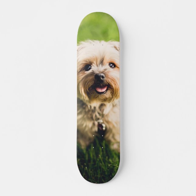Tabla de Skate Perrito Terrier Adorable Skateboard (Front)