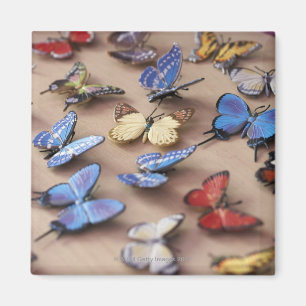 Table full of butterflies magnet