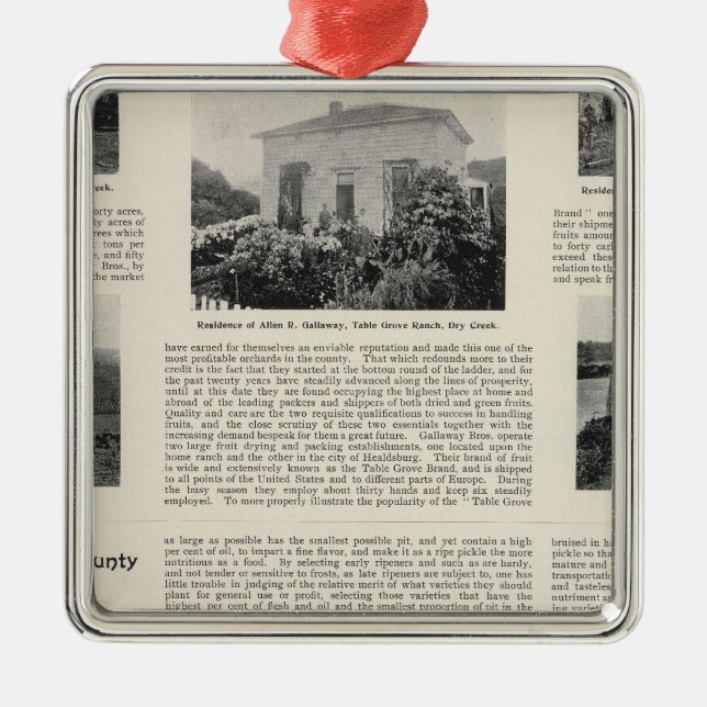 Table Grove Ranch, California Metal Tree Decoration (Front)