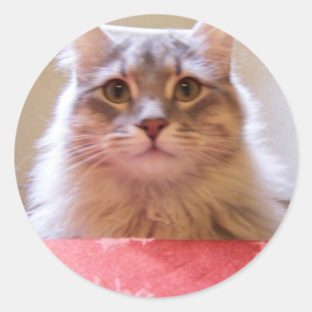 table manners sticker (Front)