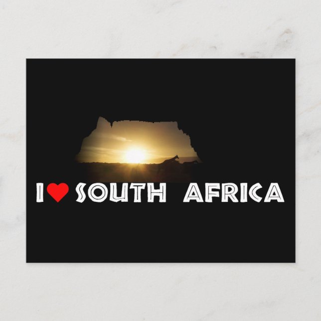 Table Mountain Giraffe Sunset Postcard (Front)