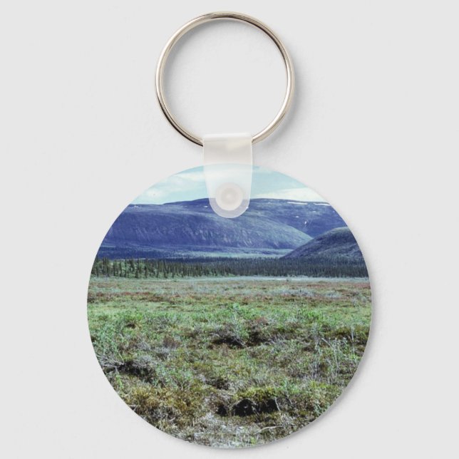 Table Mountain in Summer Key Ring (Front)