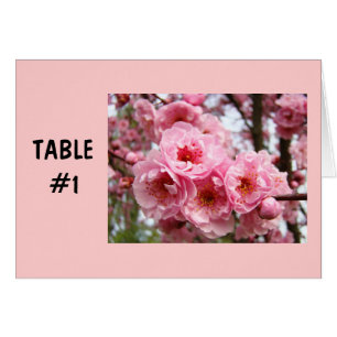 Table Number Cards Pink Blossoms Spring Parties