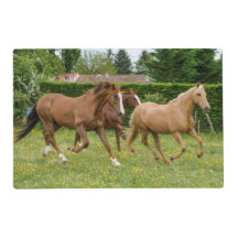 Table Place Mat Horses Chairs