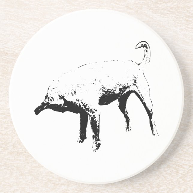 Table Study, Sniff Pause Coaster (Front)