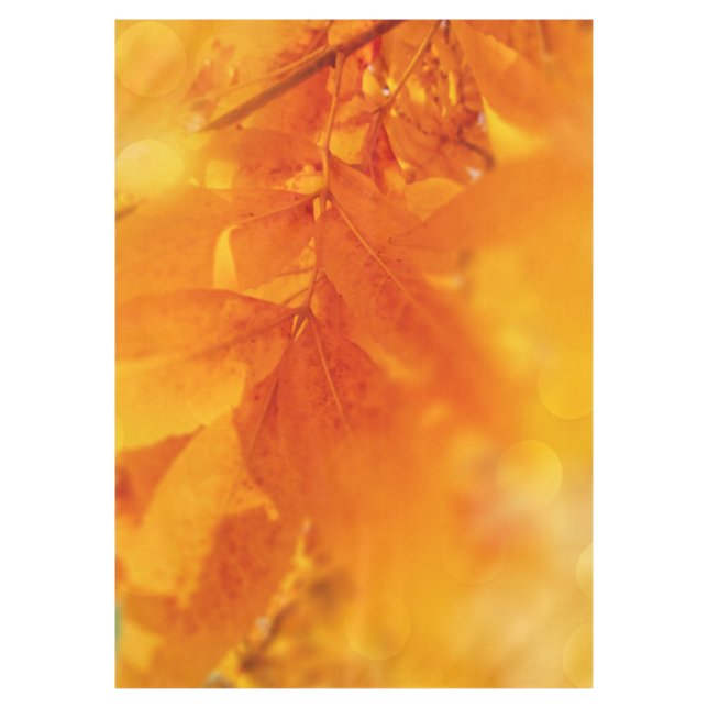 Tablecloth Coloured Autumn Glow Leafs (Front)