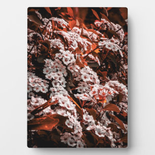 Tabletop flower plaque