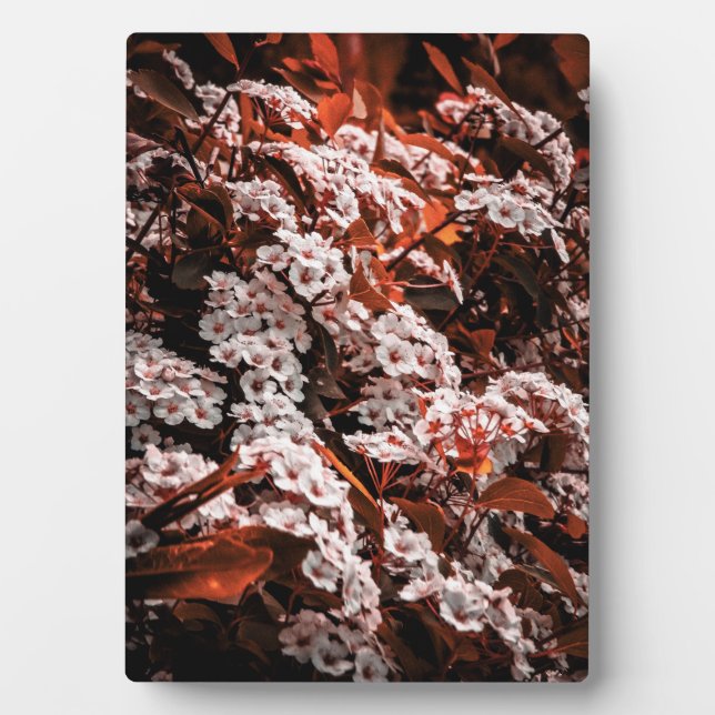 Tabletop flower plaque (Front)