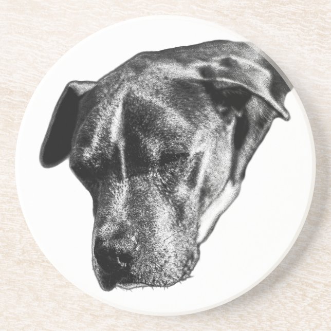 Tabletop Tranquil—Pitbull Mix Mini Coaster (Front)