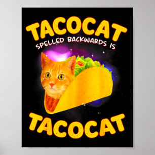 Tacocat spelled backward is tacocat cat meme taco poster