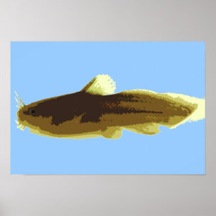 Tadpole Madtom Catfish Poster