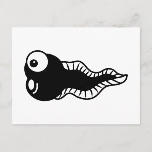 Tadpole Postcard