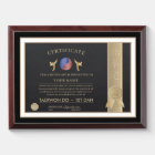Taekwon Do Certificate Award Plaque