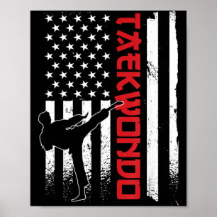 Taekwondo American Flag Taekwondo Fighter US Flag Poster