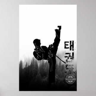 Taekwondo Korean High Kick Poster