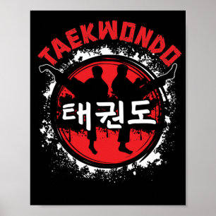 Taekwondo Martial Art Sport Distressed Style Kick Poster