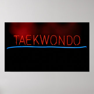 Taekwondo Poster