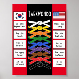 Taekwondo poster