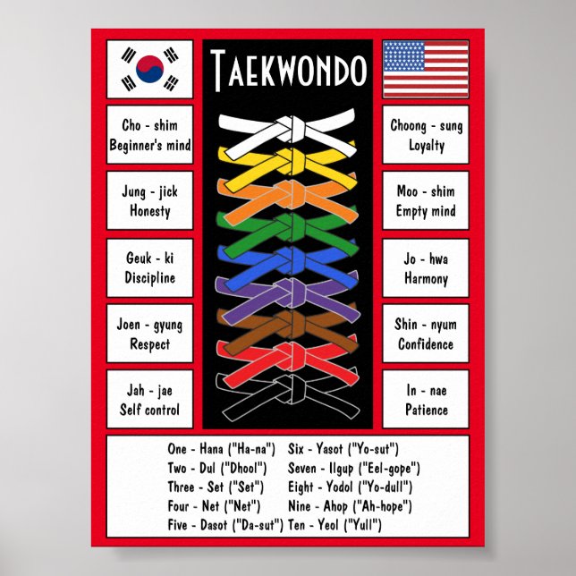 Taekwondo Poster (Front)