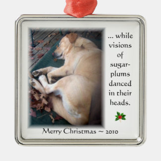 Taffy's Christmas Ornament 2010