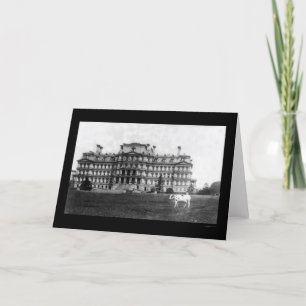 Taft's Cow Grazing near the War Building 1909 Card