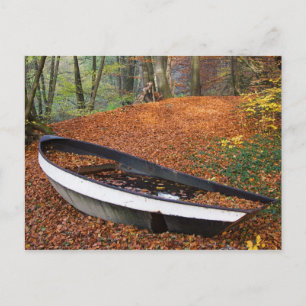 Tag 072: Waldboot Postcard