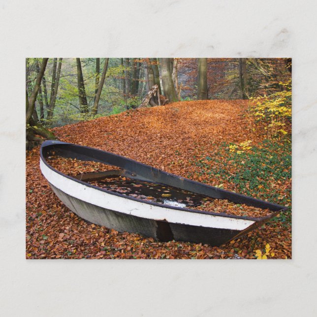 Tag 072: Waldboot Postcard (Front)