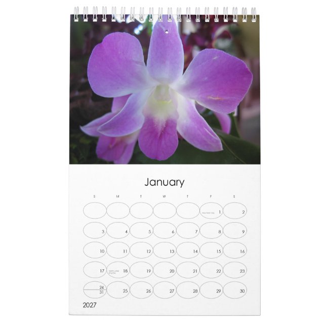Tahiti Calendar (Jan 2027)