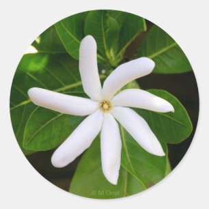 Tahiti Tiare Classic Round Sticker