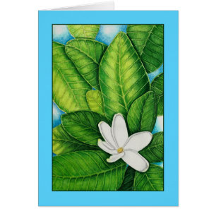 Tahitian Gardenia