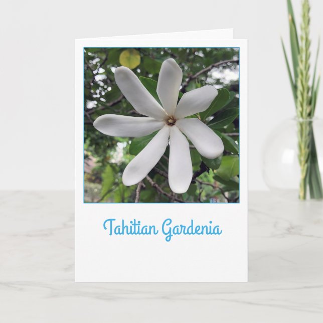 Tahitian Gardenia Card (Front)