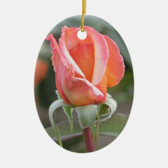 Tahitian Sunset Rose Ornament (Front)