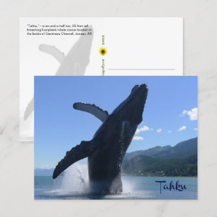“Tahku”— breaching humpback whale statue - Postcard