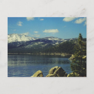 Tahoe Beauty Postcard