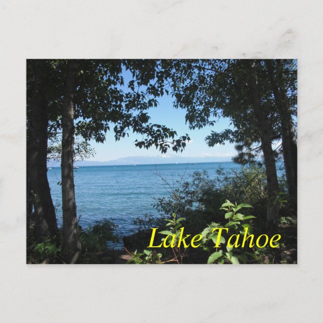 Tahoe Blue Postcard (Front)