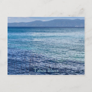 Tahoe Blues Postcard