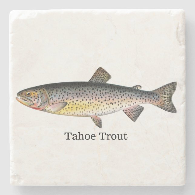 Tahoe Trout Fish Stone Coaster (Front)
