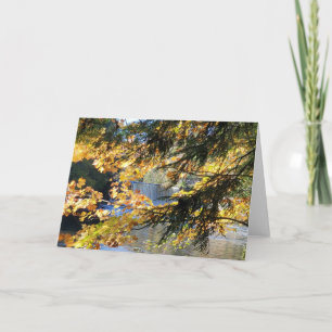 Tahquamenon Falls Card