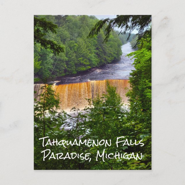 Tahquamenon Falls Michigan Postcard (Front)