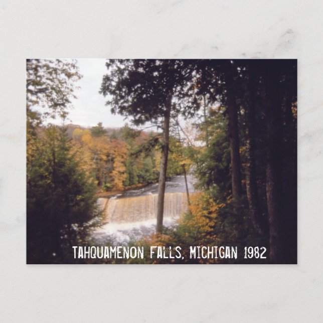 Tahquamenon Falls Michigan Postcard (Front)