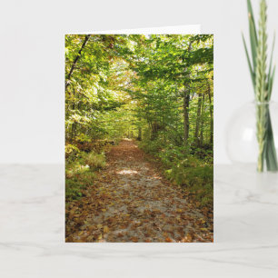 Tahquamenon Falls nature trails autumnal Card