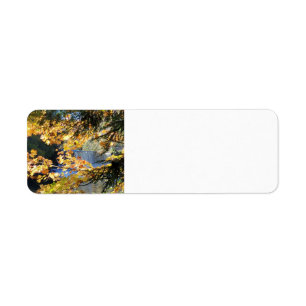 Tahquamenon Falls Return Address Label