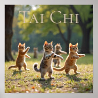 Tai Chi Cats