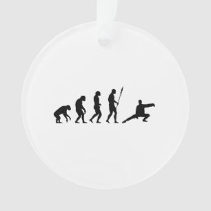tai chi evolution ornament
