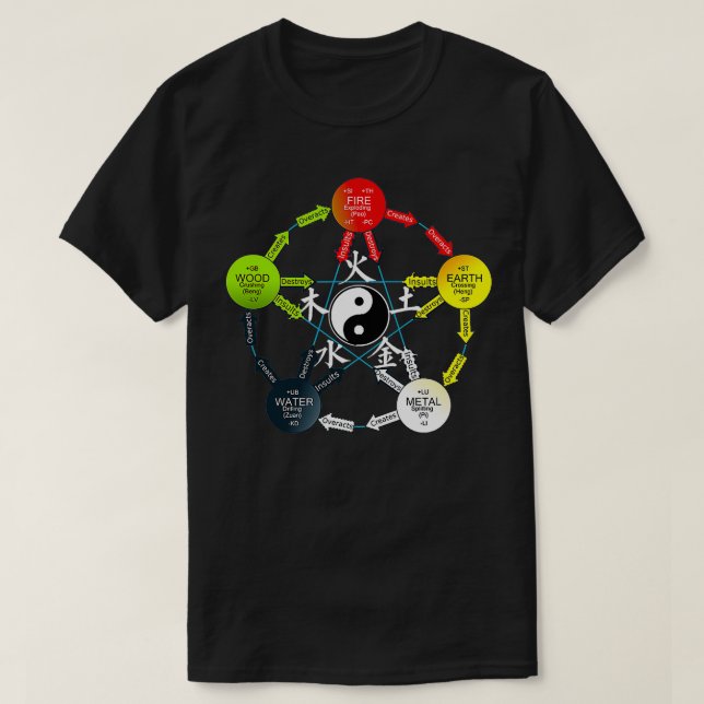 Tai Chi Yin Yang Five Elements Chinese T-Shirt (Design Front)