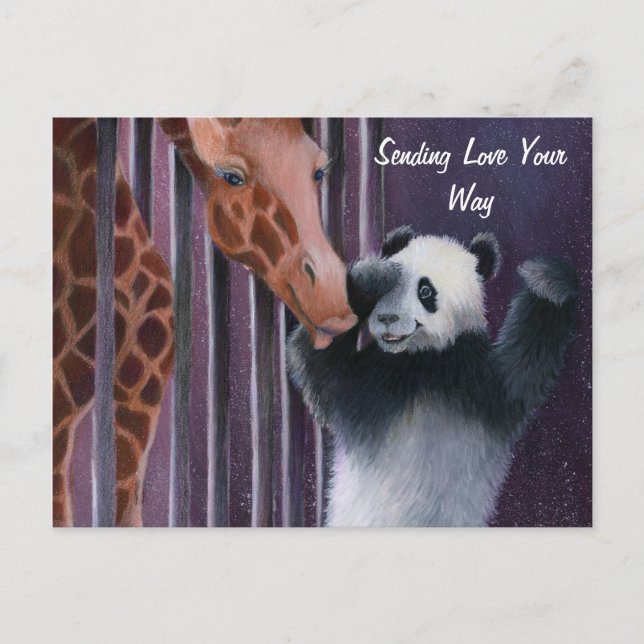 Tai Shan getting a kiss from Miss Sniffy Postcard (Front)